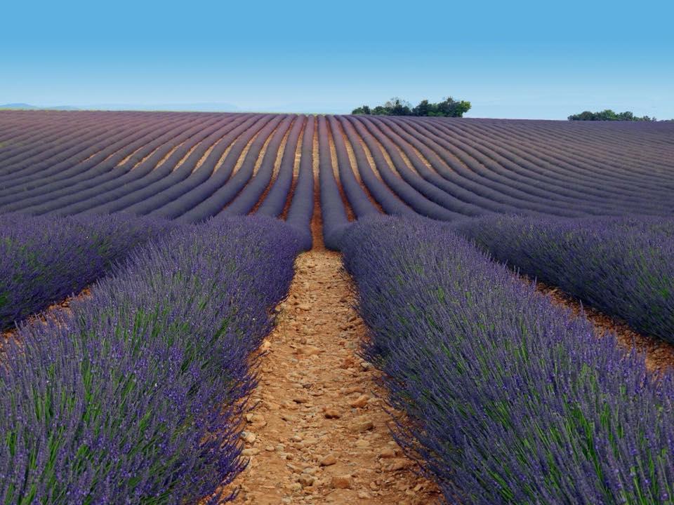 Le Tresor Des Templiers Malataverne Exterior foto